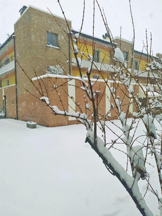 Appartamenti Alle 5 Torri Mezzolombardo Exterior photo